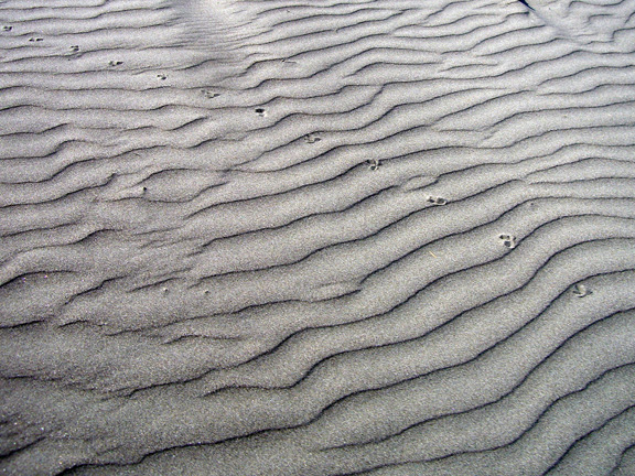 Photography by vipez for DesignCrowd (Community Contests) | Design #8952263