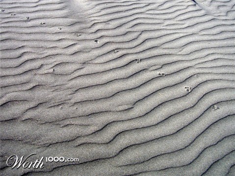 Photography by vipez