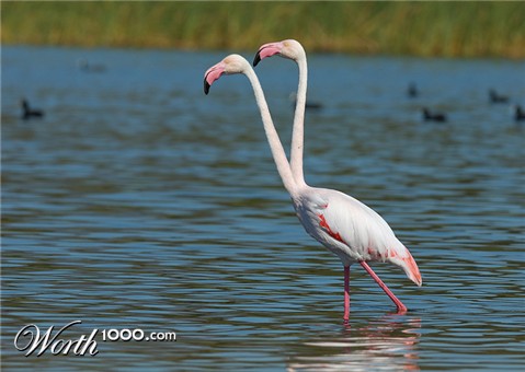 Photoshop Design by djtrickz