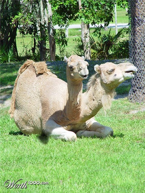 Photoshop Design by cseteviktor