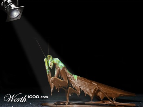 Photoshop Design by GetzRS