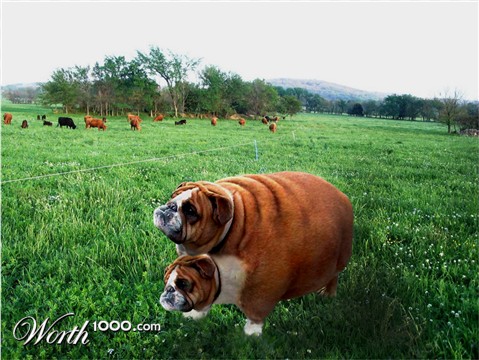 Photoshop Design by visualX