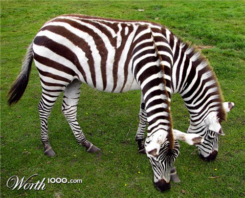 Photoshop Design by castiza