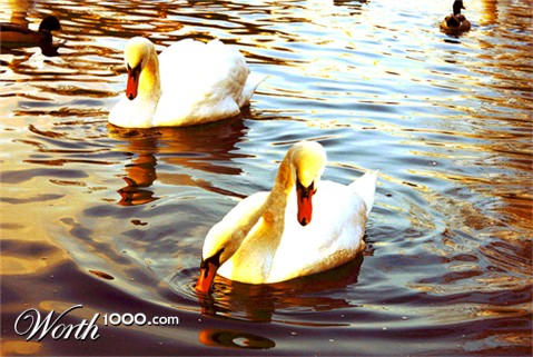 Photoshop Design by Jinx2008