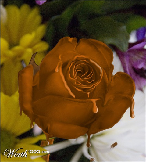 Photoshop Design by cshutt