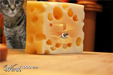 Photoshop Design by devilmonkey1192