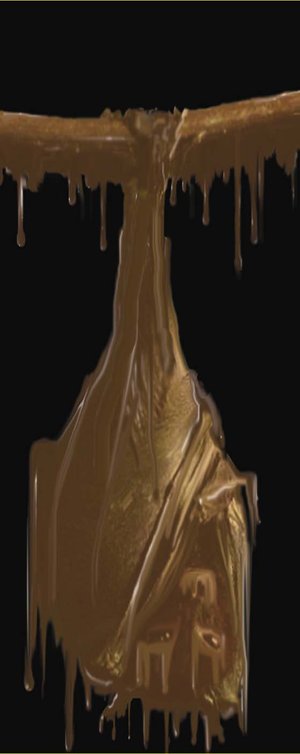 Photoshop Design by caibiense for DesignCrowd (Community Contests) | Design #8951981