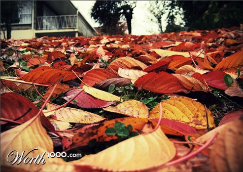 Photography by essjaynz