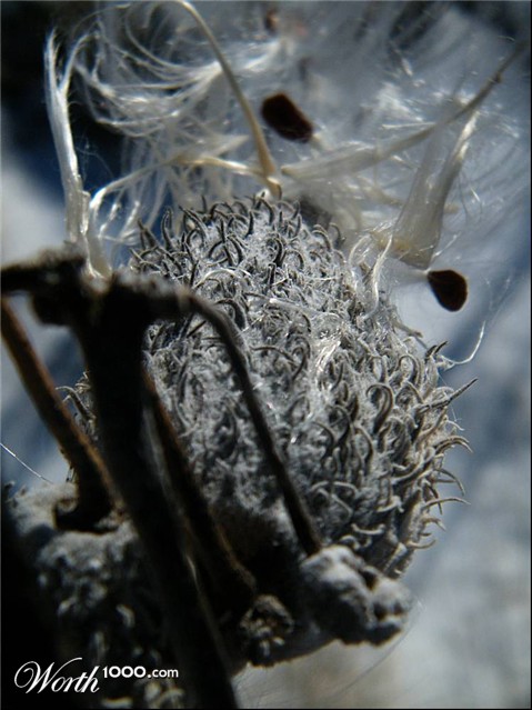 Photography by spincast1123