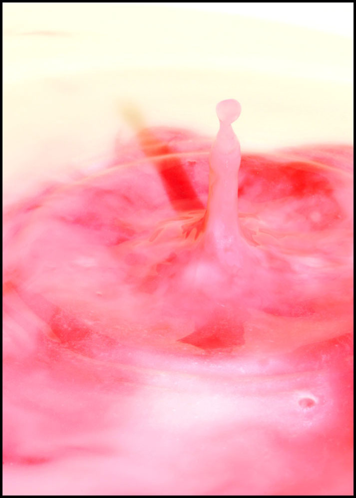 Photography by Isabella2006 for DesignCrowd (Community Contests) | Design #8948166