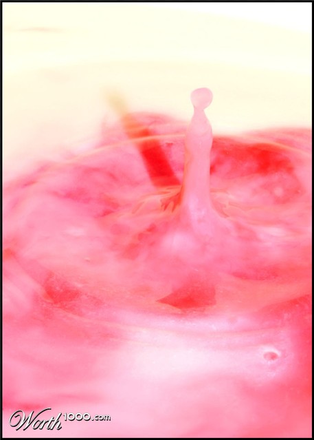 Photography by Isabella2006