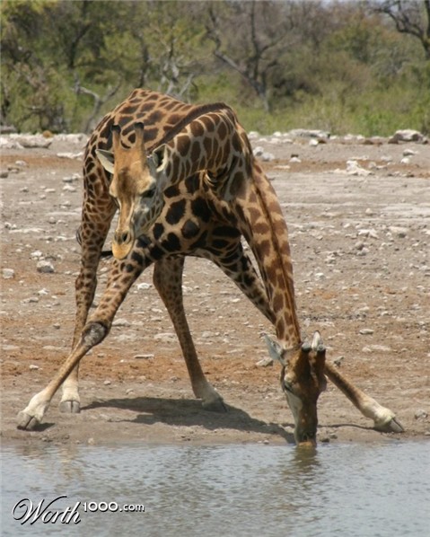 Photoshop Design by Fishwife