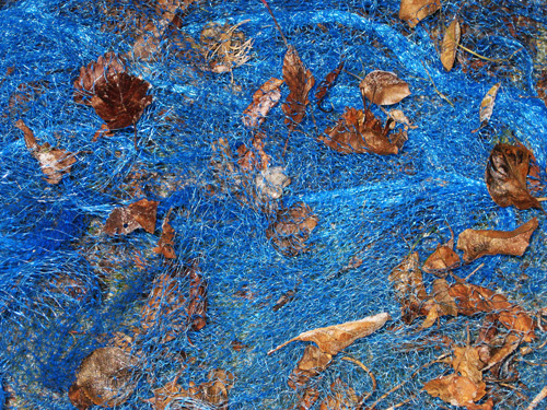 Photography by Larssonpsd for DesignCrowd (Community Contests) | Design #8952335