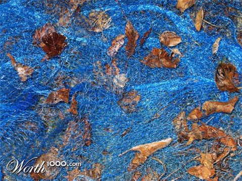 Photography by Larssonpsd