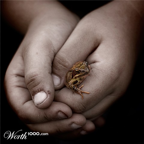 Photography by Marian