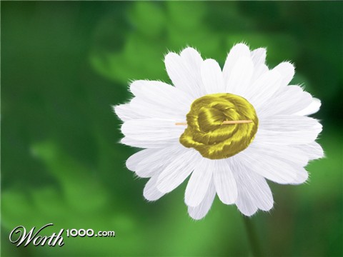 Photoshop Design by misterblister