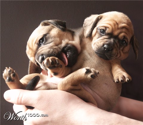 Photoshop Design by sugarcane