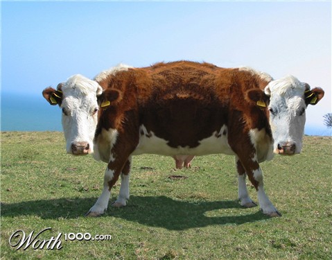 Photoshop Design by sgtrock