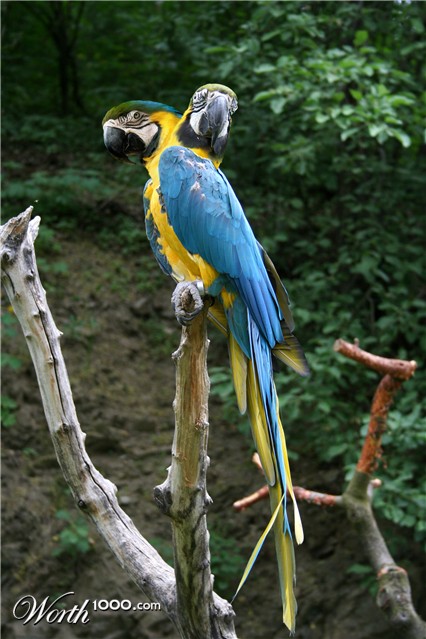 Photoshop Design by mystic71