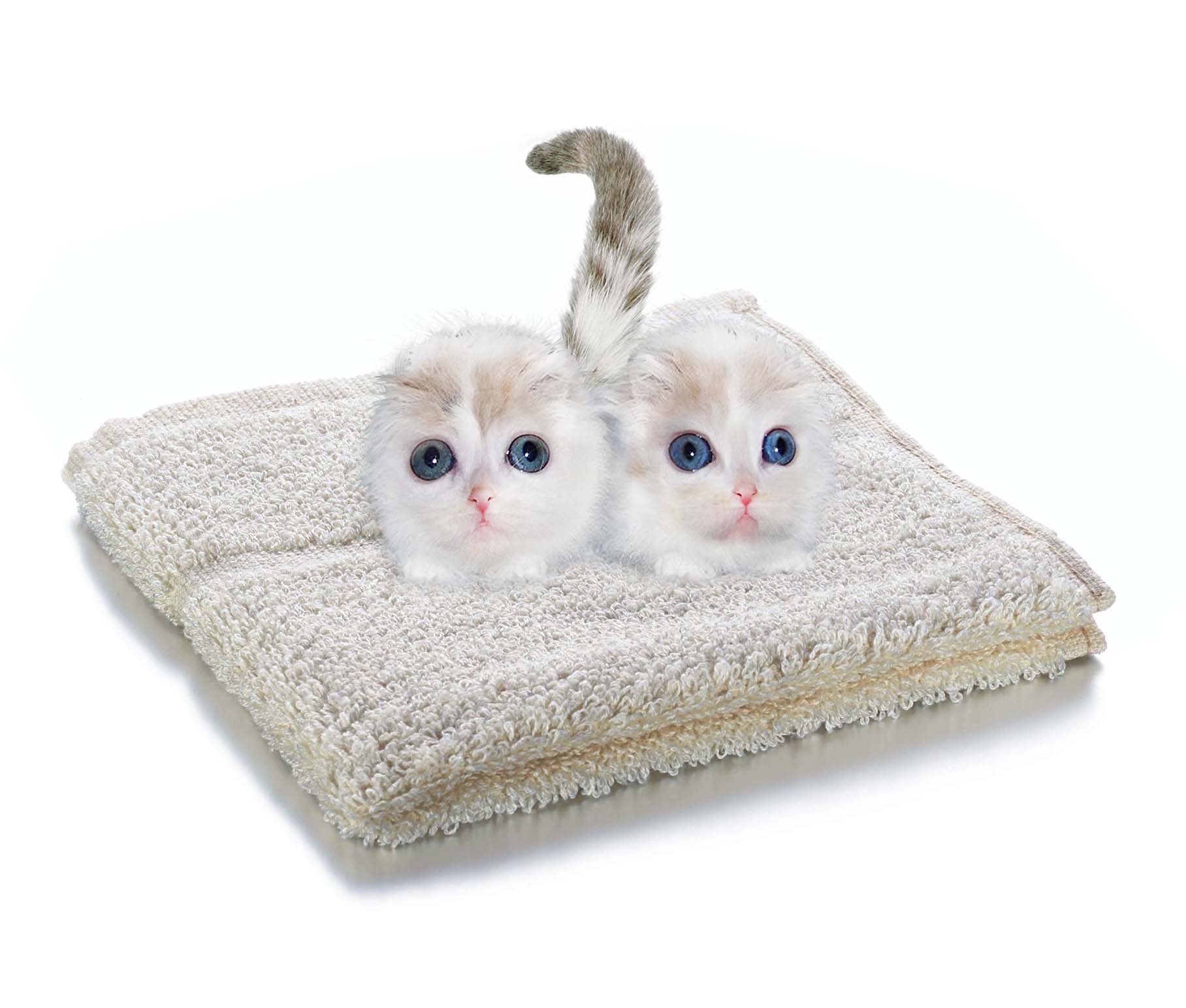 Design Photoshop par urnmns pour DesignCrowd (Community Contests) | Design #8950263