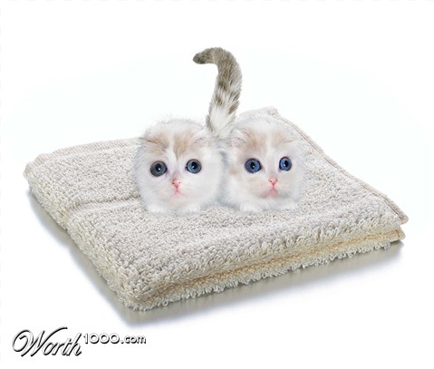 Photoshop Design by urnmns