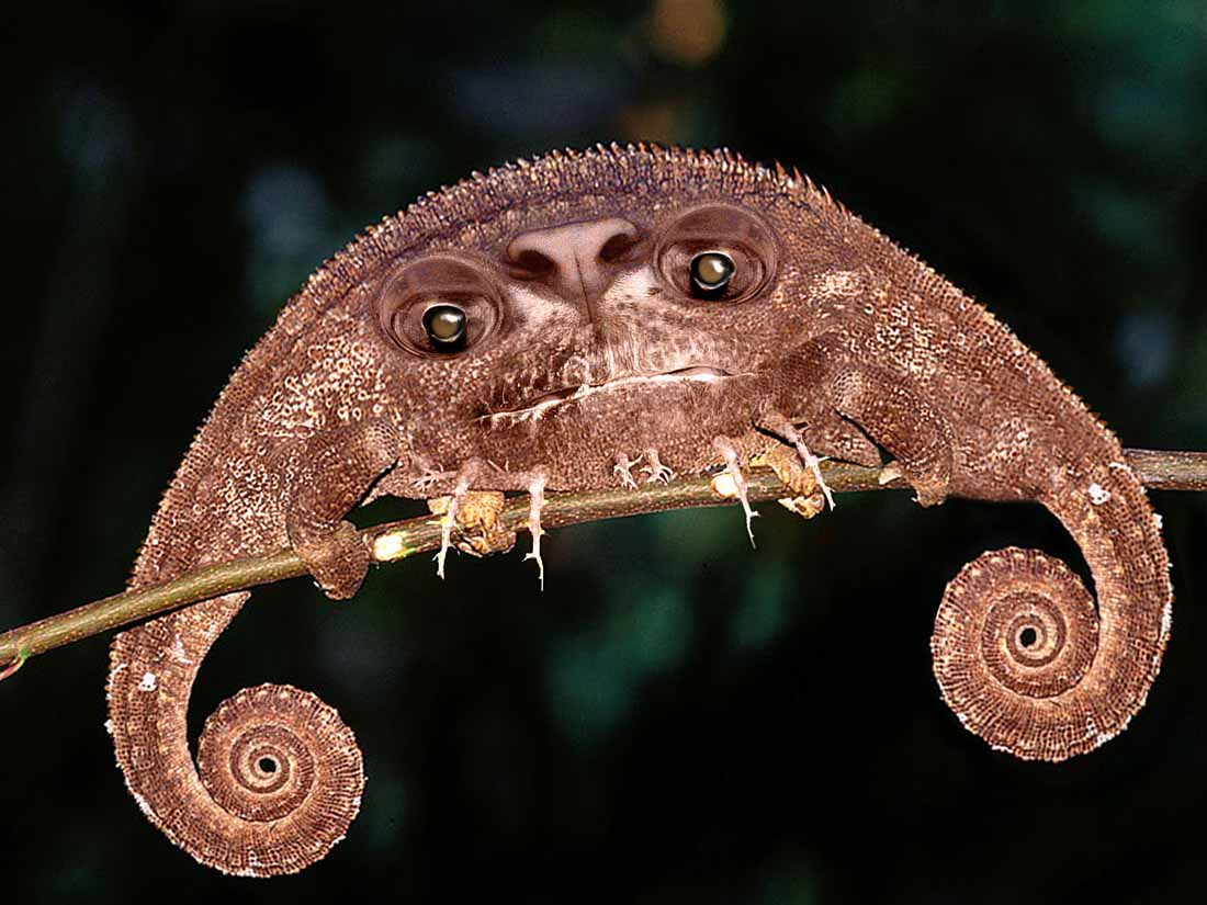 Photoshop Design by urnmns for DesignCrowd (Community Contests) | Design #8948667