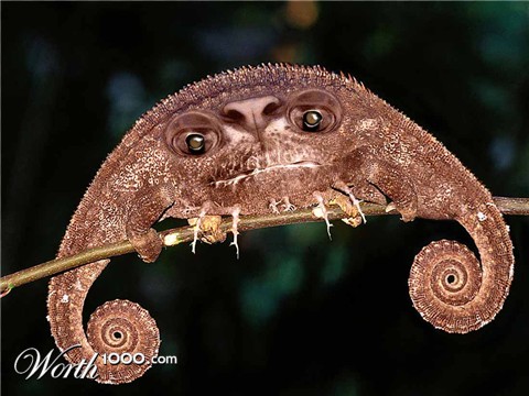 Photoshop Design by urnmns