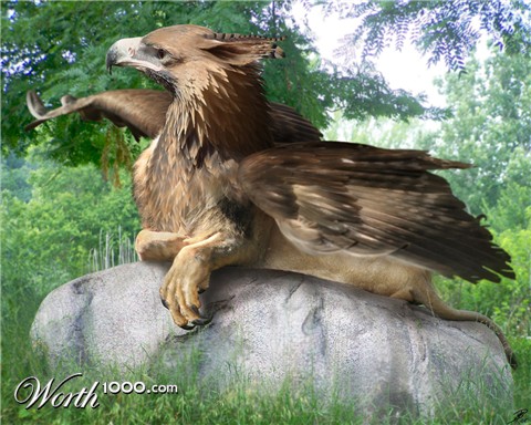 Photoshop Design by pyroenigma