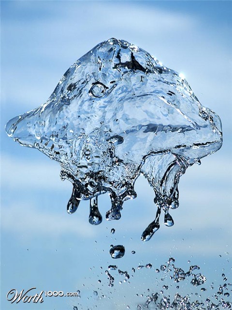 Photography by DonLuigi