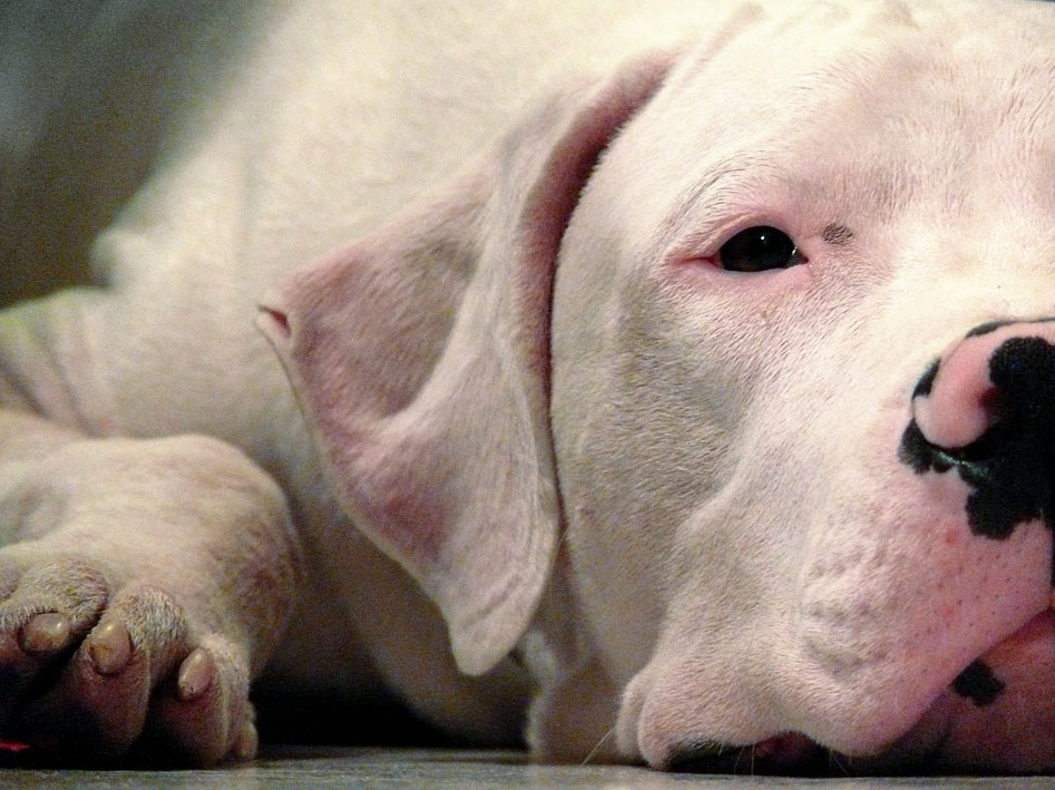 Photography by MarZotta for DesignCrowd (Community Contests) | Design #8957196