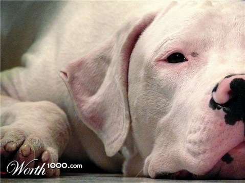 Photography by MarZotta