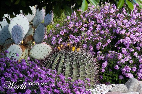 Photography by JHTheisen