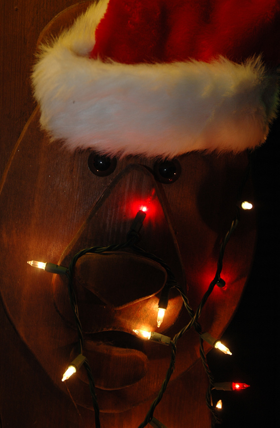 Photographie par Lmorrow57 pour DesignCrowd (Community Contests) | Design #8952407