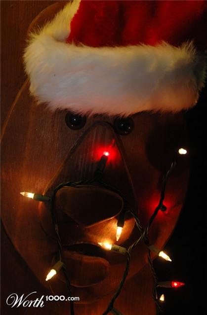 Photography by Lmorrow57