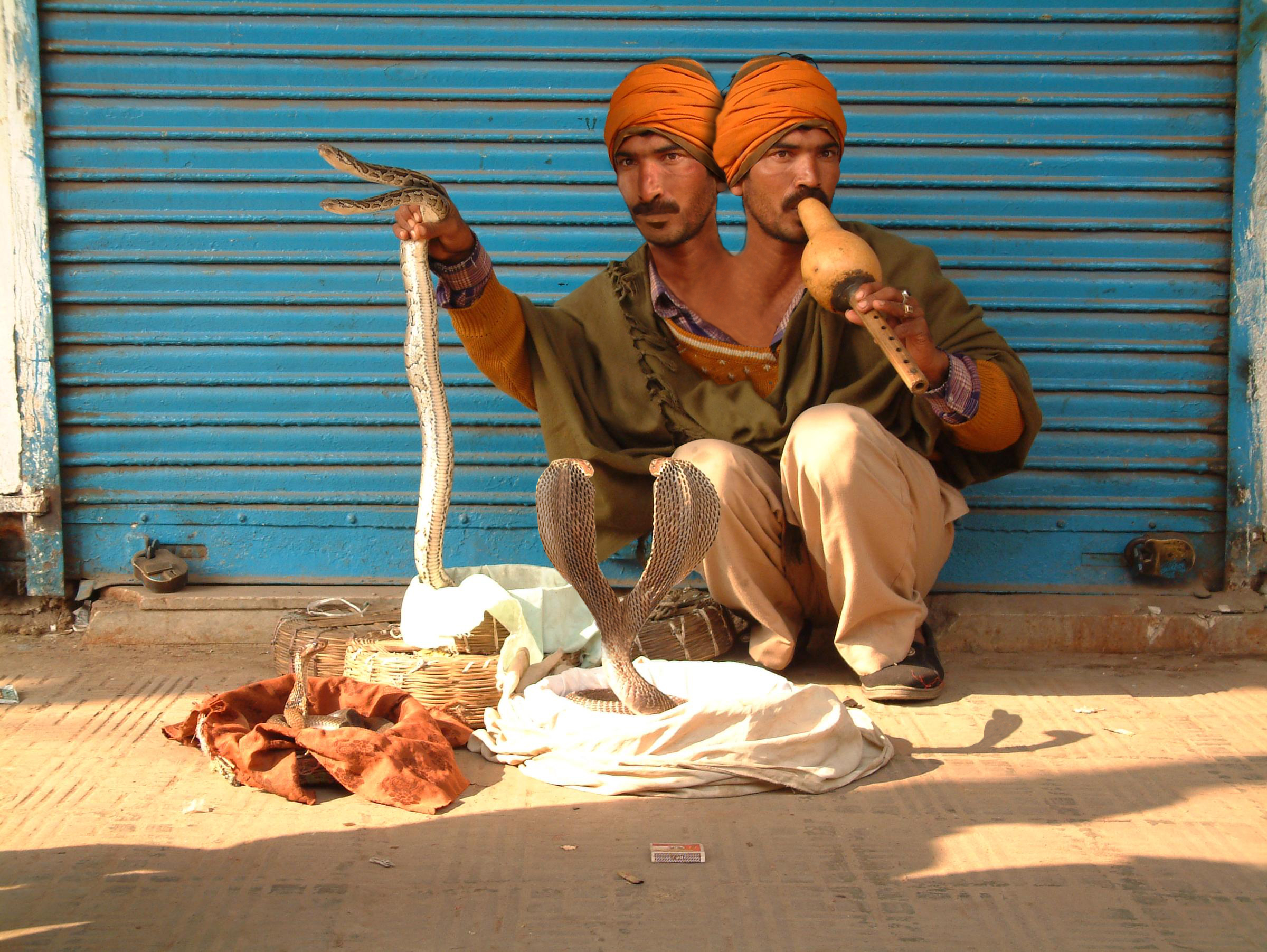 Photoshop Design by mauroabregu for DesignCrowd (Community Contests) | Design #8950323