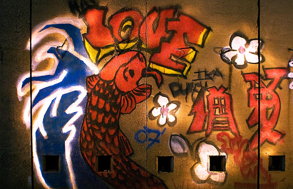 Photography by mortalwombat for DesignCrowd (Community Contests) | Design #8952290