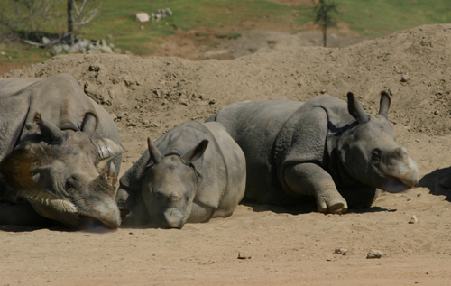 Design Photoshop par adam007 pour DesignCrowd (Community Contests) | Design #8948722