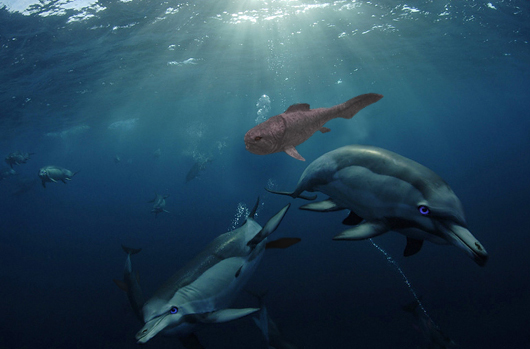 Photoshop Design by polypore for DesignCrowd (Community Contests) | Design #8948745