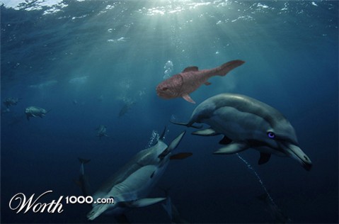 Photoshop Design by polypore