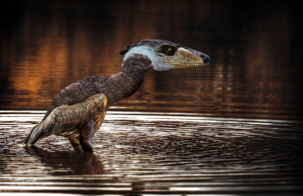 Design Photoshop par michel2404 pour DesignCrowd (Community Contests) | Design #8948710