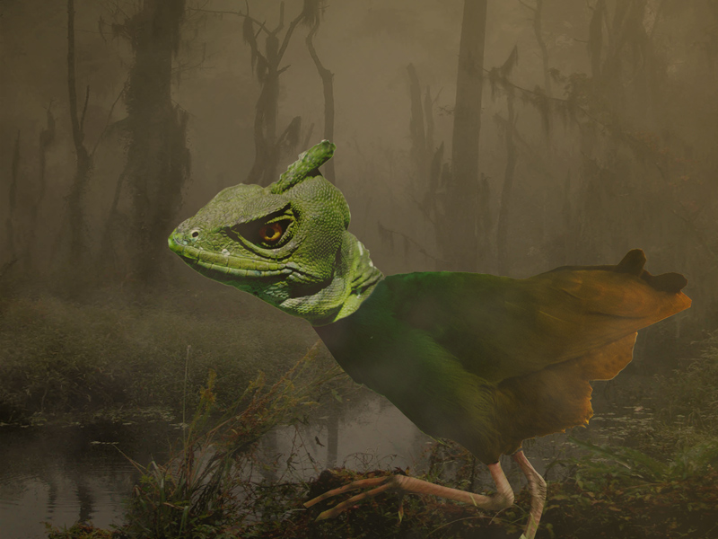 Photoshop Design by castiza for DesignCrowd (Community Contests) | Design #8948841