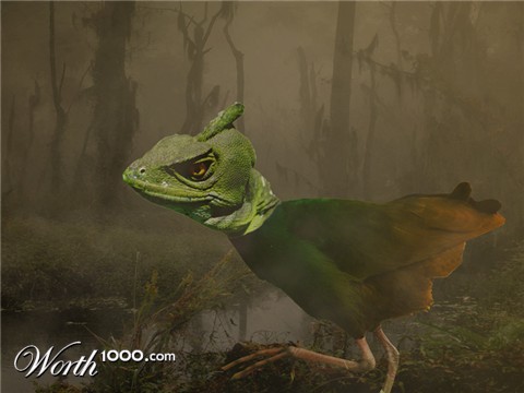 Photoshop Design by castiza