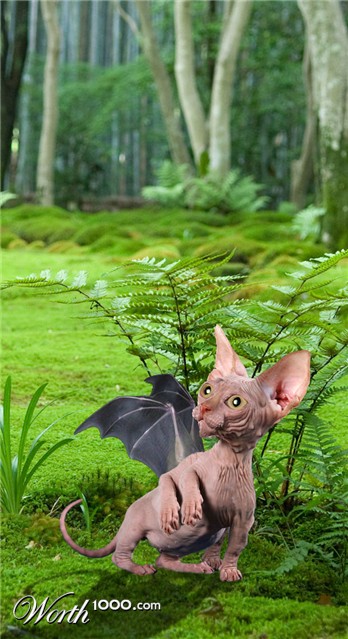 Photoshop Design by JANIELLE