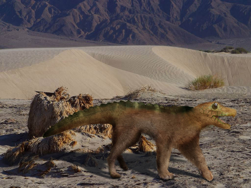 Photoshop Design by bkhikkin for DesignCrowd (Community Contests) | Design #8948804