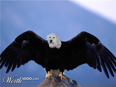 Photoshop Design by INMATErex