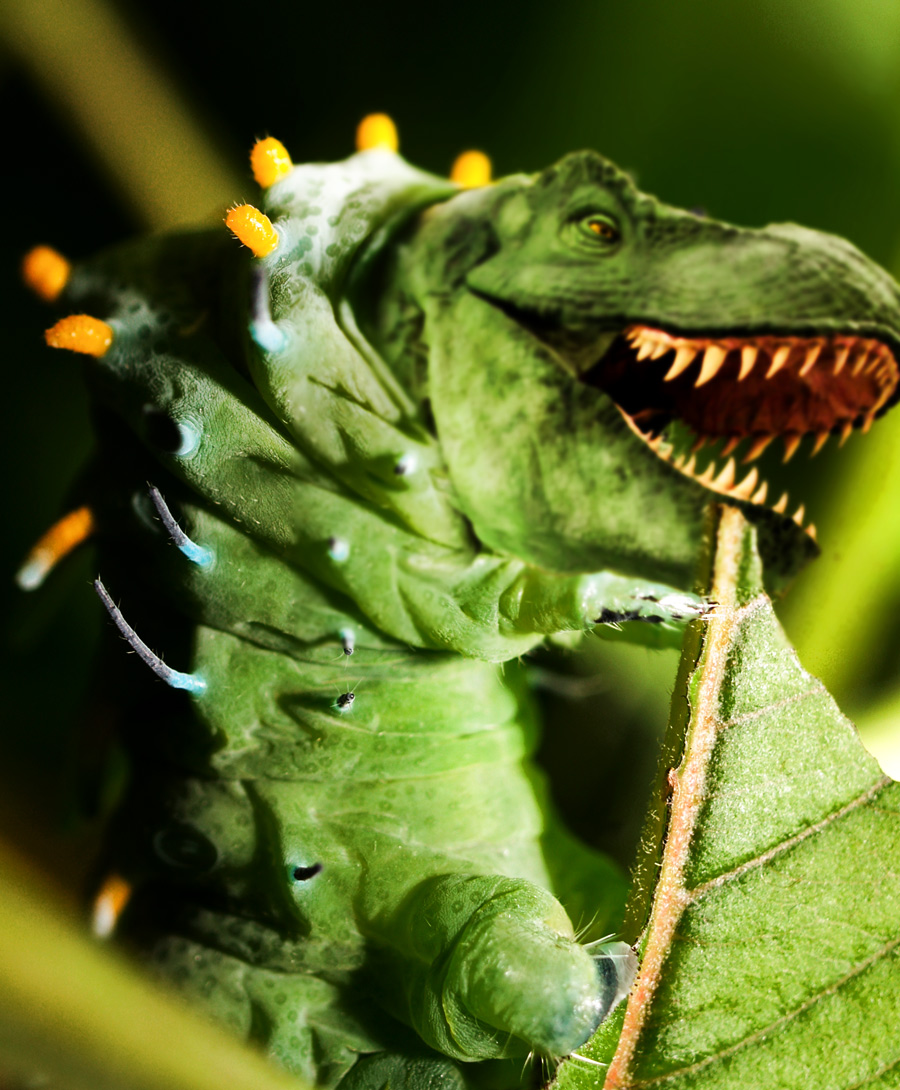 Photoshop Design by blu0range for DesignCrowd (Community Contests) | Design #8948762