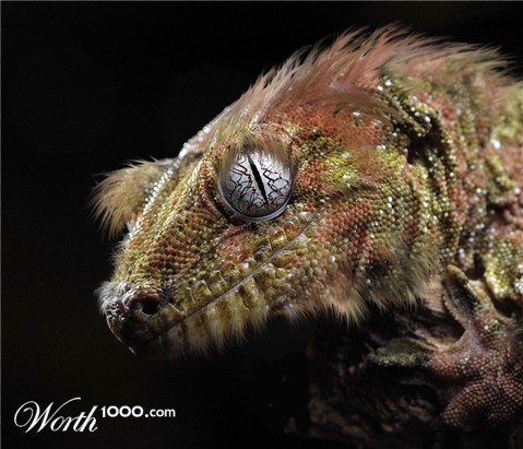 Photoshop Design by ilovekarate