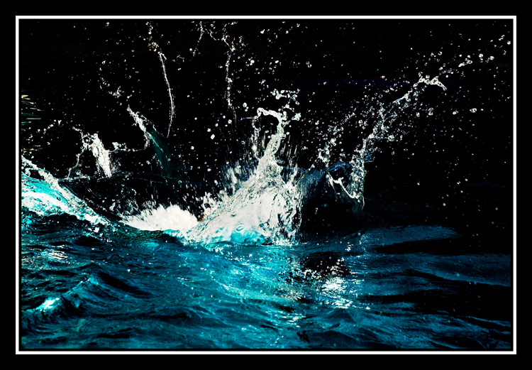 Fotografía por kimbomac para DesignCrowd (Community Contests) | Diseño #8948194