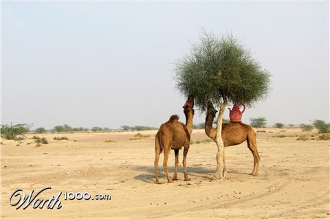 Photoshop Design by sweertvaegher