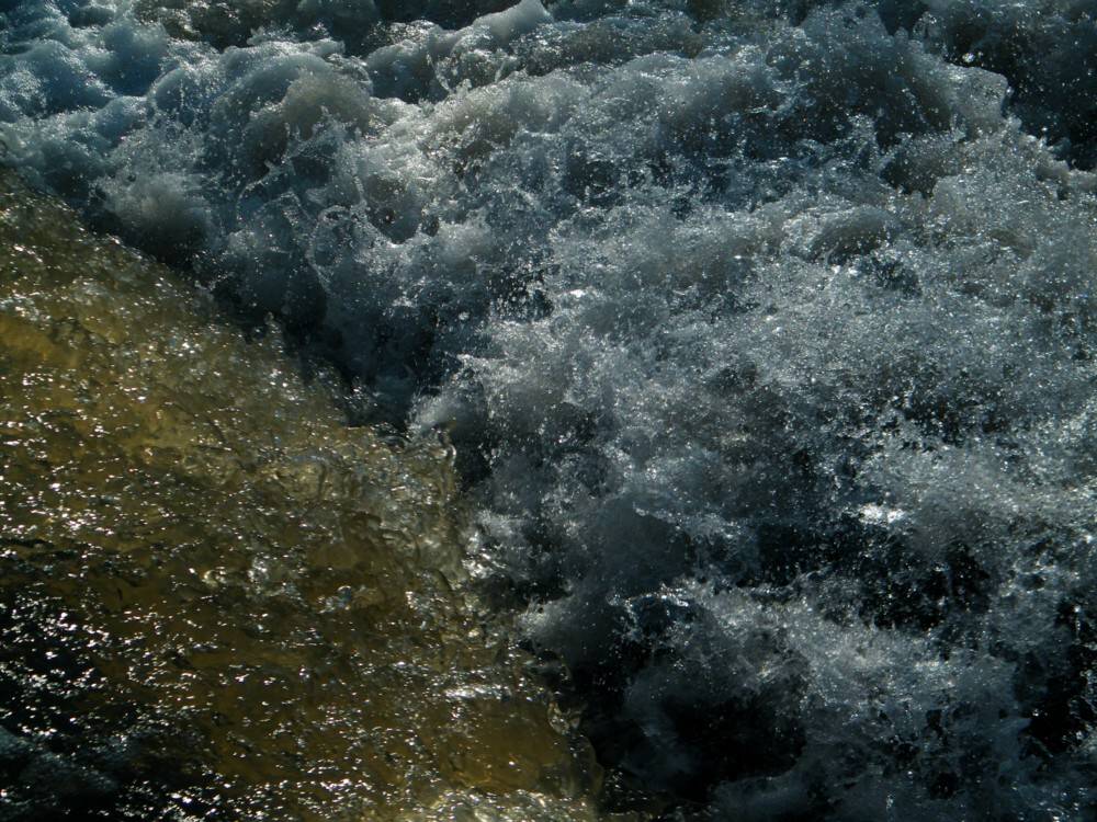 Fotografie von spincast1123 für DesignCrowd (Community Contests) | Design #8948190